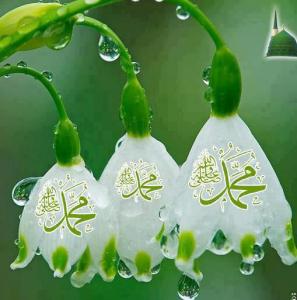 21764_391274634281181_1777992683_n