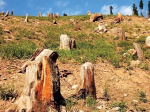 437715-Image-1347818518-943-640x480