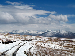 1741166481_5d31bfa9ac