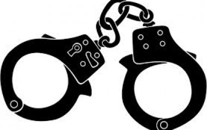دیامر پولیس کی کاروائی، ڈوڈیشال سے سنگین وارداتوں میں ملوث١٠ اشتہاری مجرم گرفتار
