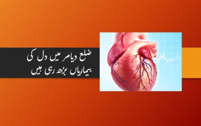 ضلع دیامر میں دل کی بیماریوں میں تشویشناک حد تک اضافہ ہو رہا ہے