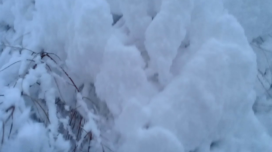 شگر: شدید برف باری سےمرہ پی میں دو گھر منہدم