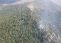 داریل: جنگل میں لگی آگ پر تین روز بعد قابو پالیا گیا