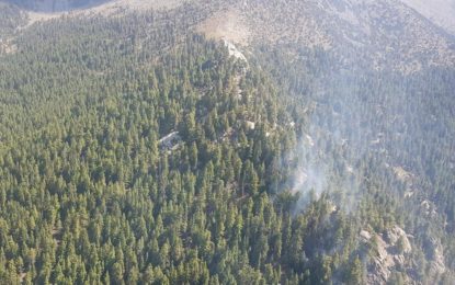 داریل: جنگل میں لگی آگ پر تین روز بعد قابو پالیا گیا
